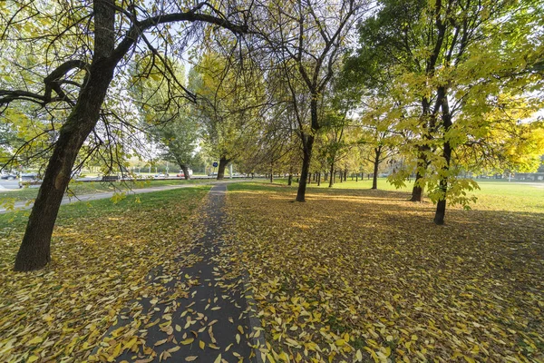 Mediolan Lombardia Włochy Park Znany Jako Parco Nord Słoneczne Jesienne — Zdjęcie stockowe