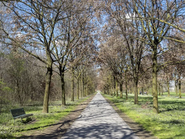 伦巴第 意大利 在春天被称为帕尔科北部的公园 — 图库照片