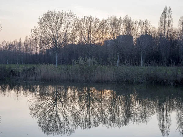 Milão Lombardia Itália Parque Conhecido Como Parco Nord Noite Árvores — Fotografia de Stock