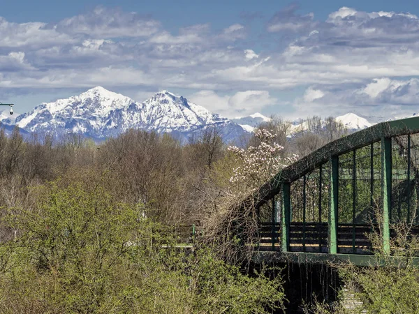 Milán Lombardía Italia Parque Conocido Como Parco Nord Primavera —  Fotos de Stock