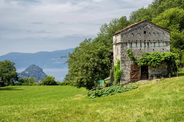 Carretera Montaña Arcumeggia Laveno Varese Lombardía Italia Verano Con Lirios —  Fotos de Stock