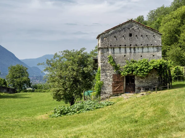 Mountain Road Arcumeggia Laveno Varese Lombardy Italy Summer Lilies — Stock Photo, Image