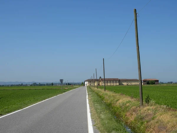 Campagne Long Route Lignana Ronsecco Près Vercelli Piémont Italie Été — Photo