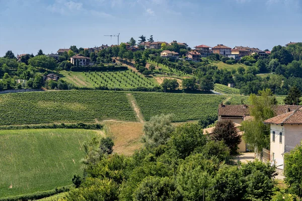 Cesta Govone San Martino Alfieri Asti Monferrato Piemont Itálie Letní — Stock fotografie