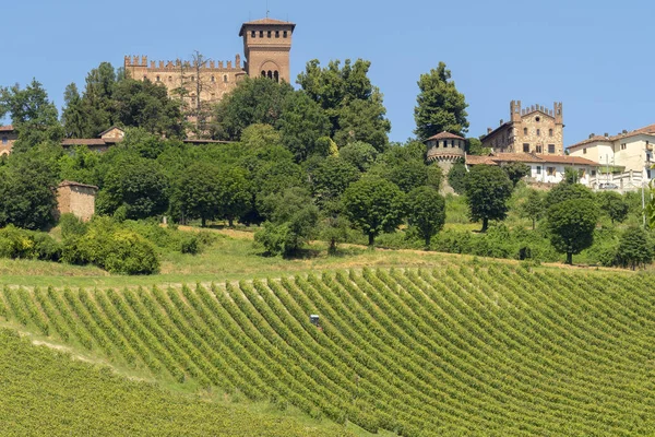 Vineyards Gabiano Alessandria Monferrato Piedmont Italy Summer Landscape — Stock Photo, Image