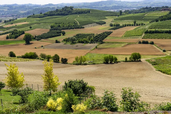 Vägen Från Govone Till San Martino Alfieri Asti Monferrato Piemonte — Stockfoto