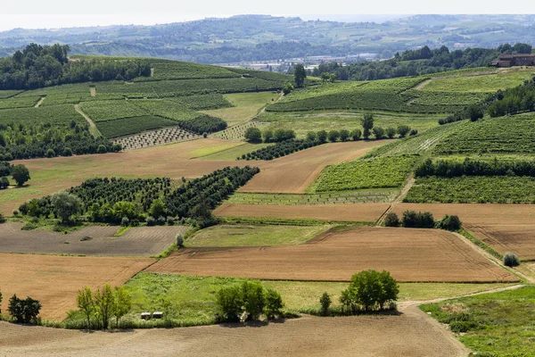 Yaz San Martino Alfieri Asti Monferrato Piedmont Talya Govone Yoldan — Stok fotoğraf