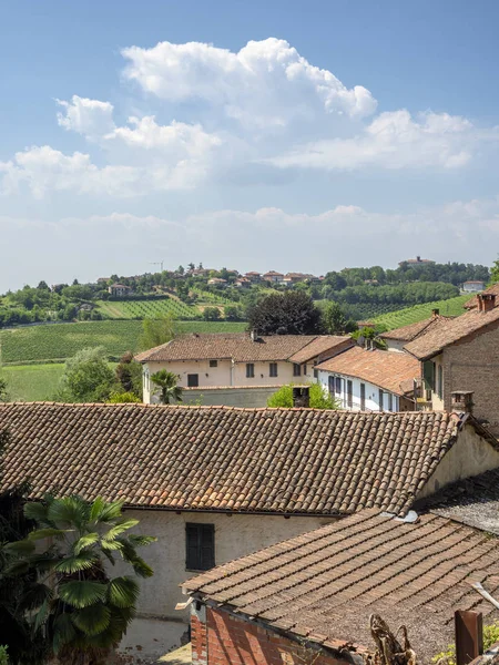 Camino Govone San Martino Alfieri Asti Monferrato Piamonte Italia Verano — Foto de Stock