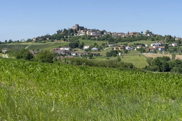 Αμπελώνες Στο Gabiano Αλεξάνδρεια Monferrato Απουλία Ιταλία Καλοκαιρινό Τοπίο — Φωτογραφία Αρχείου
