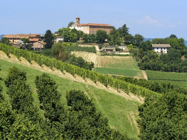 Cesta Govone San Martino Alfieri Asti Monferrato Piemont Itálie Letní — Stock fotografie