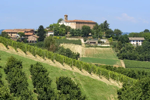 Cesta Govone San Martino Alfieri Asti Monferrato Piemont Itálie Letní — Stock fotografie