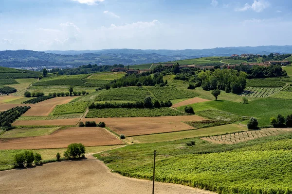 Strada Govone San Martino Alfieri Asti Monferrato Piemonte Italia Estate — Foto Stock