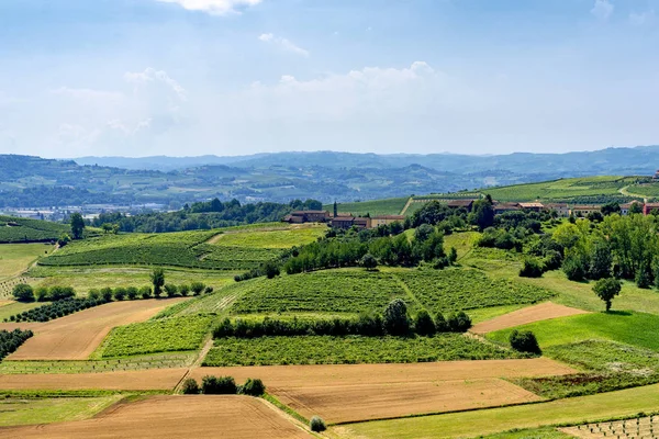 Vägen Från Govone Till San Martino Alfieri Asti Monferrato Piemonte — Stockfoto