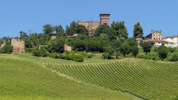 Vingårdar Gabiano Monferrato Alessandria Piemonte Italien Sommarlandskap — Stockfoto