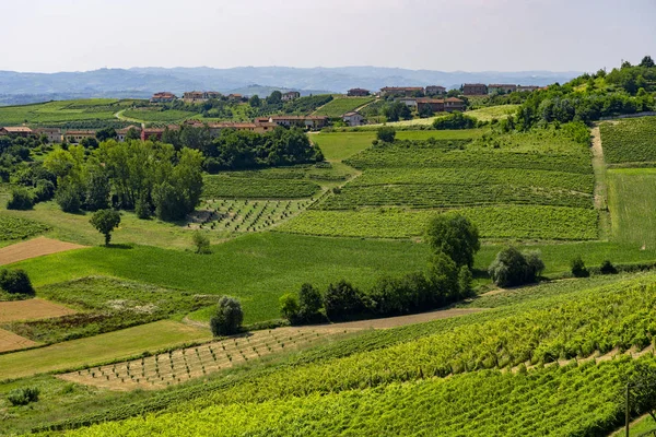 Δρόμος Από Govone Στο San Martino Alfieri Asti Monferrato Πιεμόντε — Φωτογραφία Αρχείου