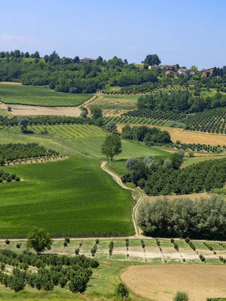 Cesta Govone San Martino Alfieri Asti Monferrato Piemont Itálie Létě — Stock fotografie