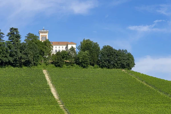 Vinice Langhe Poblíž Barolo Alba Cuneo Piemont Itálie Letní — Stock fotografie