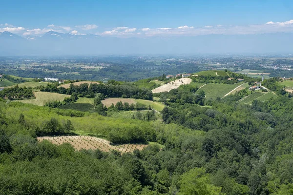 Vinice Langhe Poblíž Dogliani Cuneo Piemont Itálie Léto — Stock fotografie