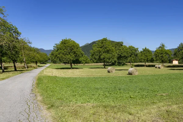 Valley Stura Demonte Cuneo Piedmont Italy Landscape Summer Bicycle Way — Stock Photo, Image