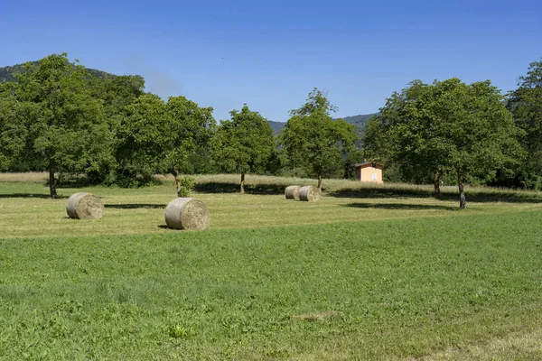 Vallei Stura Demonte Cuneo Piemonte Italië Landschap Aan Zomer Langs — Stockfoto