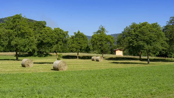 Vallei Stura Demonte Cuneo Piemonte Italië Landschap Aan Zomer Langs — Stockfoto