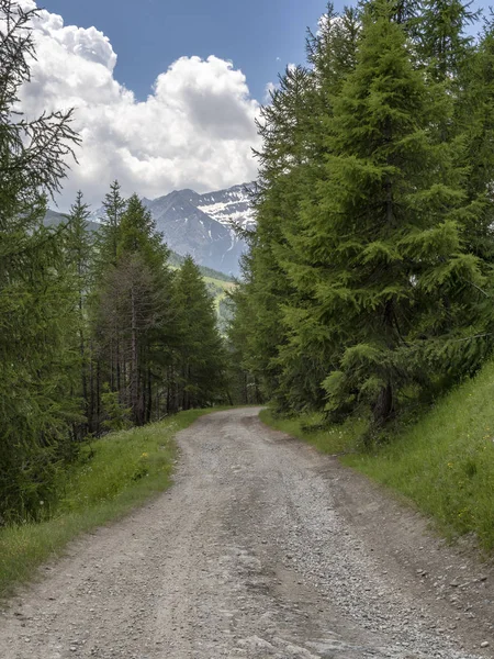 Paysage Montagneux Long Route Vers Colle Dell Assietta Colle Delle — Photo