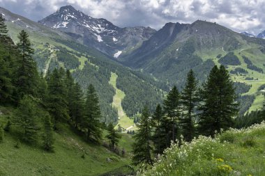 Dağ manzara Colle dell'Assietta ve Colle delle yol boyunca Finestre, Turin, Piedmont, İtalya, yaz
