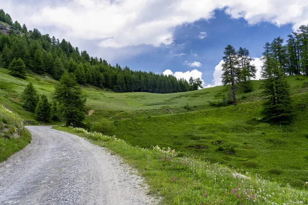 Горный Пейзаж Вдоль Дороги Colle Dell Assietta Colle Delle Finestre — стоковое фото