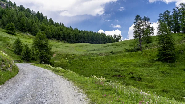 Paisagem Montanhosa Longo Estrada Para Colle Dell Assietta Colle Delle — Fotografia de Stock