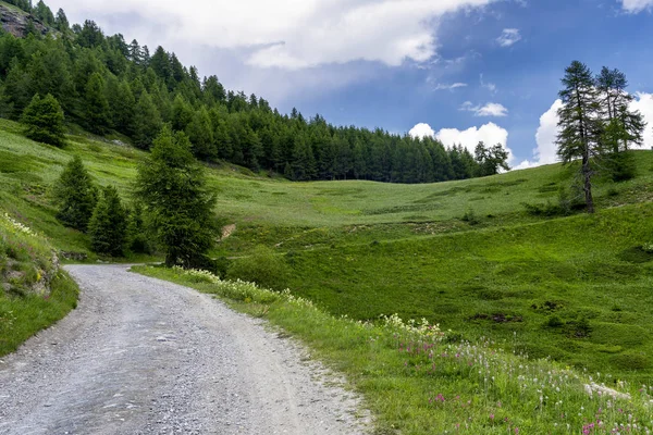 Paisagem Montanhosa Longo Estrada Para Colle Dell Assietta Colle Delle — Fotografia de Stock