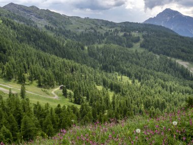 Dağ manzara Colle dell'Assietta ve Colle delle yol boyunca Finestre, Turin, Piedmont, İtalya, yaz
