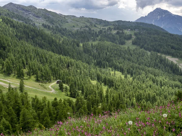 意大利都灵 皮埃蒙特 特雷德尔菲尼斯特雷的公路沿线的山区景观 — 图库照片