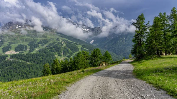 Paisagem Montanhosa Longo Estrada Para Colle Dell Assietta Colle Delle — Fotografia de Stock