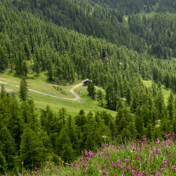 Dağ manzara Colle dell'Assietta ve Colle delle yol boyunca Finestre, Turin, Piedmont, İtalya, yaz