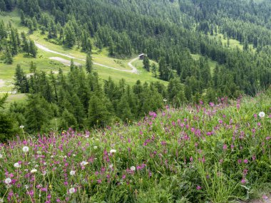 Dağ manzara Colle dell'Assietta ve Colle delle yol boyunca Finestre, Turin, Piedmont, İtalya, yaz