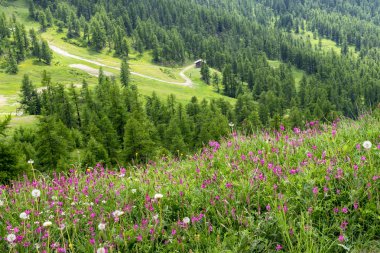 Dağ manzara Colle dell'Assietta ve Colle delle yol boyunca Finestre, Turin, Piedmont, İtalya, yaz