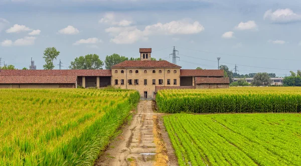 Kırsal Manzara Casale Monferrato Alessandria Piedmont Talya Yakınındaki Yaz Eski — Stok fotoğraf