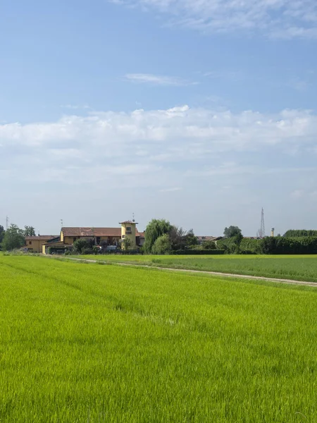 Yaz Naviglio Grande Milan Lombardiya Talya Abbiategrasso Olarak Bilinen Kanal — Stok fotoğraf