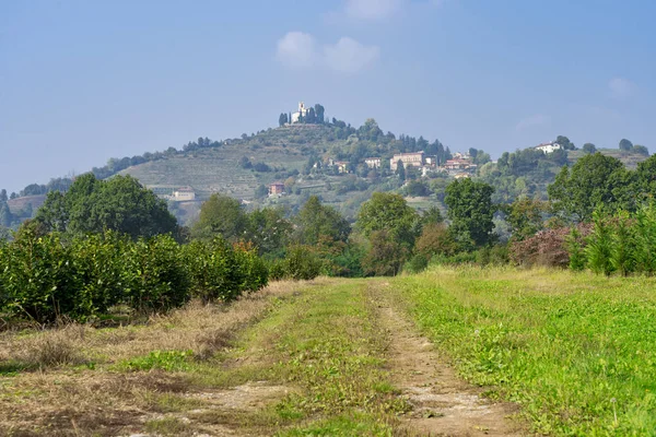 Természeti Park Genovai Lecco Brianza Lombardia Olaszország Szőlőskert Októberben — Stock Fotó