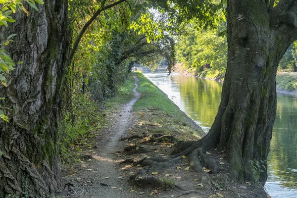 Milan (Italy): path along Villoresi canal — Stock Photo, Image