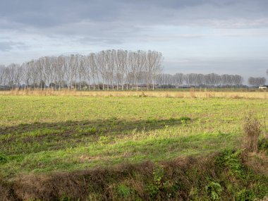 Ülke Sant'Angelo Lodigiano, İtalya