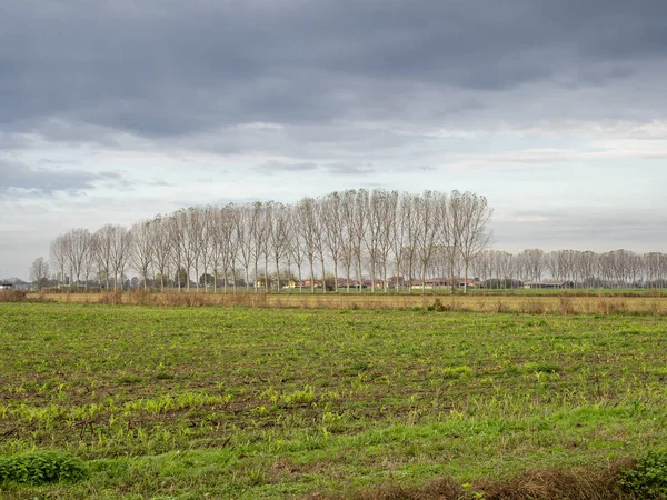 País cerca de Sant 'Angelo Lodigiano, Italia —  Fotos de Stock