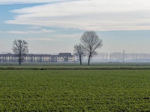 Paysage rural près de Lodi, Italie — Photo