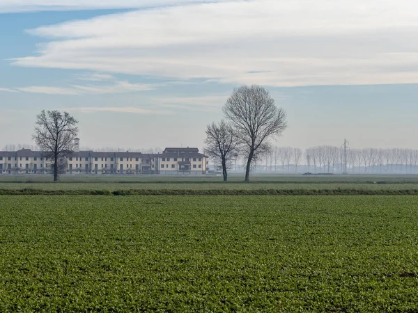 Paesaggio rurale vicino a Lodi — Foto Stock