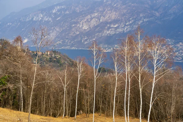 Lago Como de Ghisallo, Itália — Fotografia de Stock