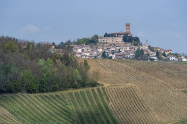 Nisan ayında Oltrepo Pavese üzüm bağları