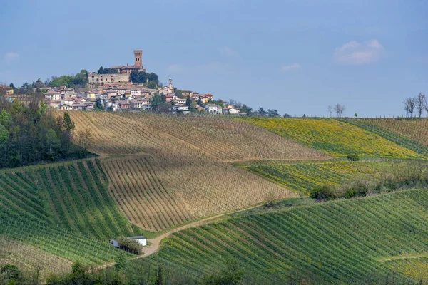 Vineyards of Oltrepo Pavese in April — Stock Photo, Image