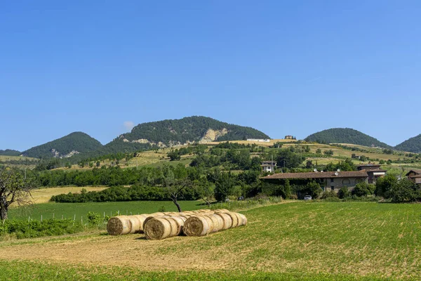 Oltrepo pavese bei varzi, pavia — Stockfoto