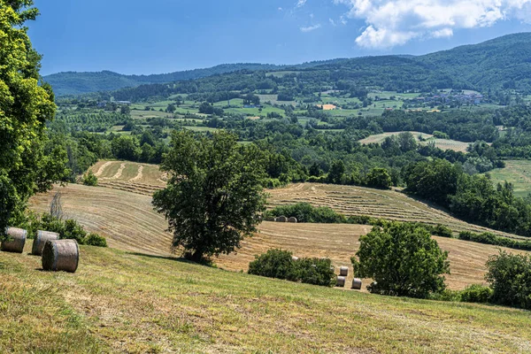 Passo del Penice: mountain landscape — Stock Photo, Image