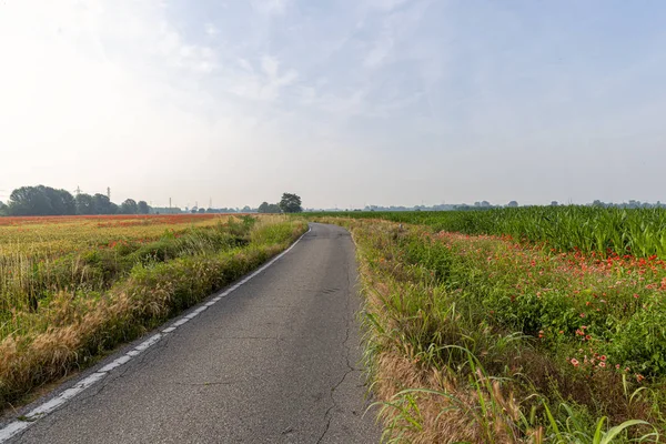 Mediolan, Włochy: Parco Sud, Park wiejski — Zdjęcie stockowe